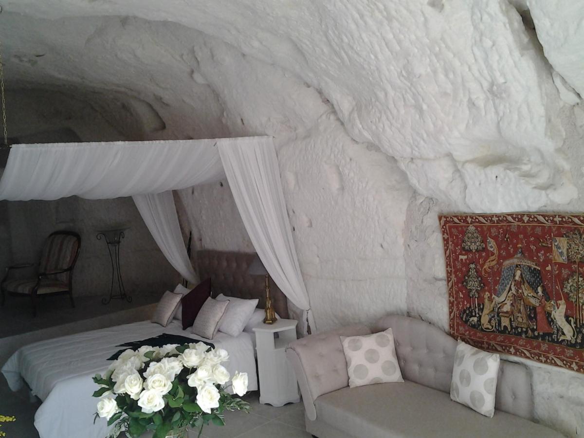 Le Manoir Des Roches Bed & Breakfast Bourré Dış mekan fotoğraf