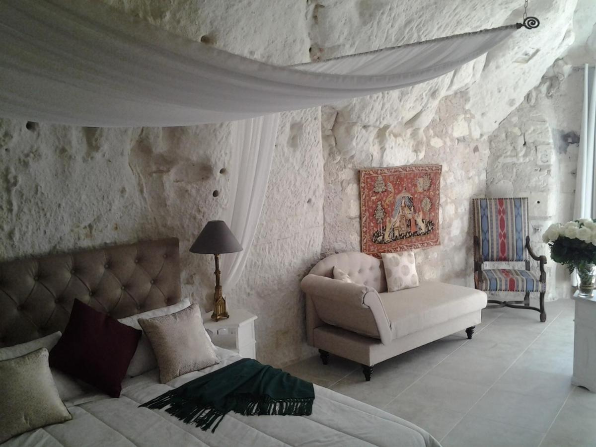 Le Manoir Des Roches Bed & Breakfast Bourré Dış mekan fotoğraf