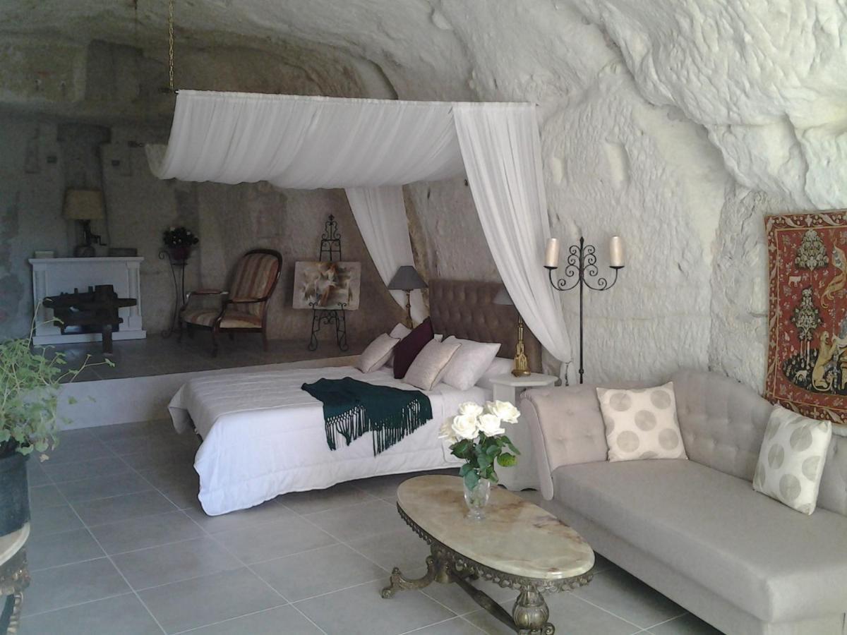 Le Manoir Des Roches Bed & Breakfast Bourré Dış mekan fotoğraf