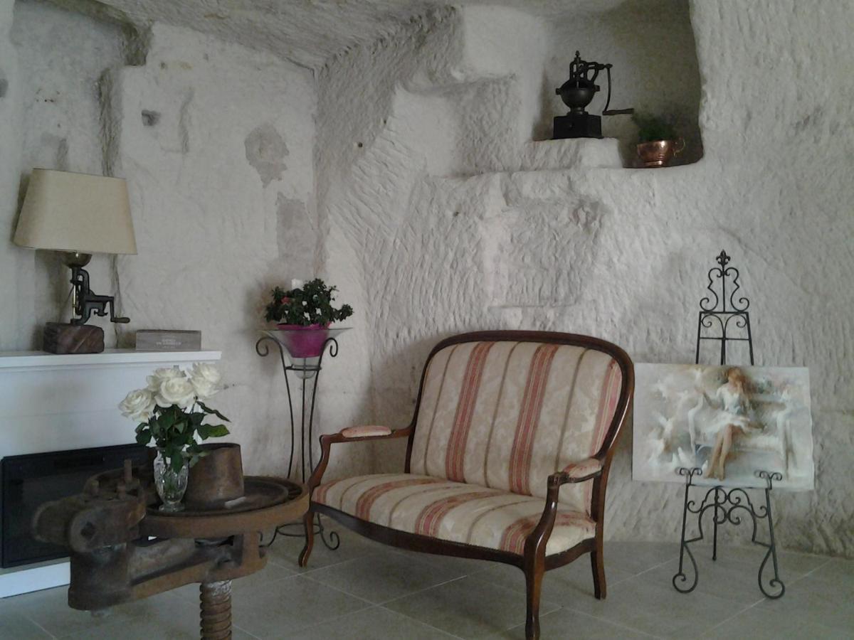 Le Manoir Des Roches Bed & Breakfast Bourré Dış mekan fotoğraf