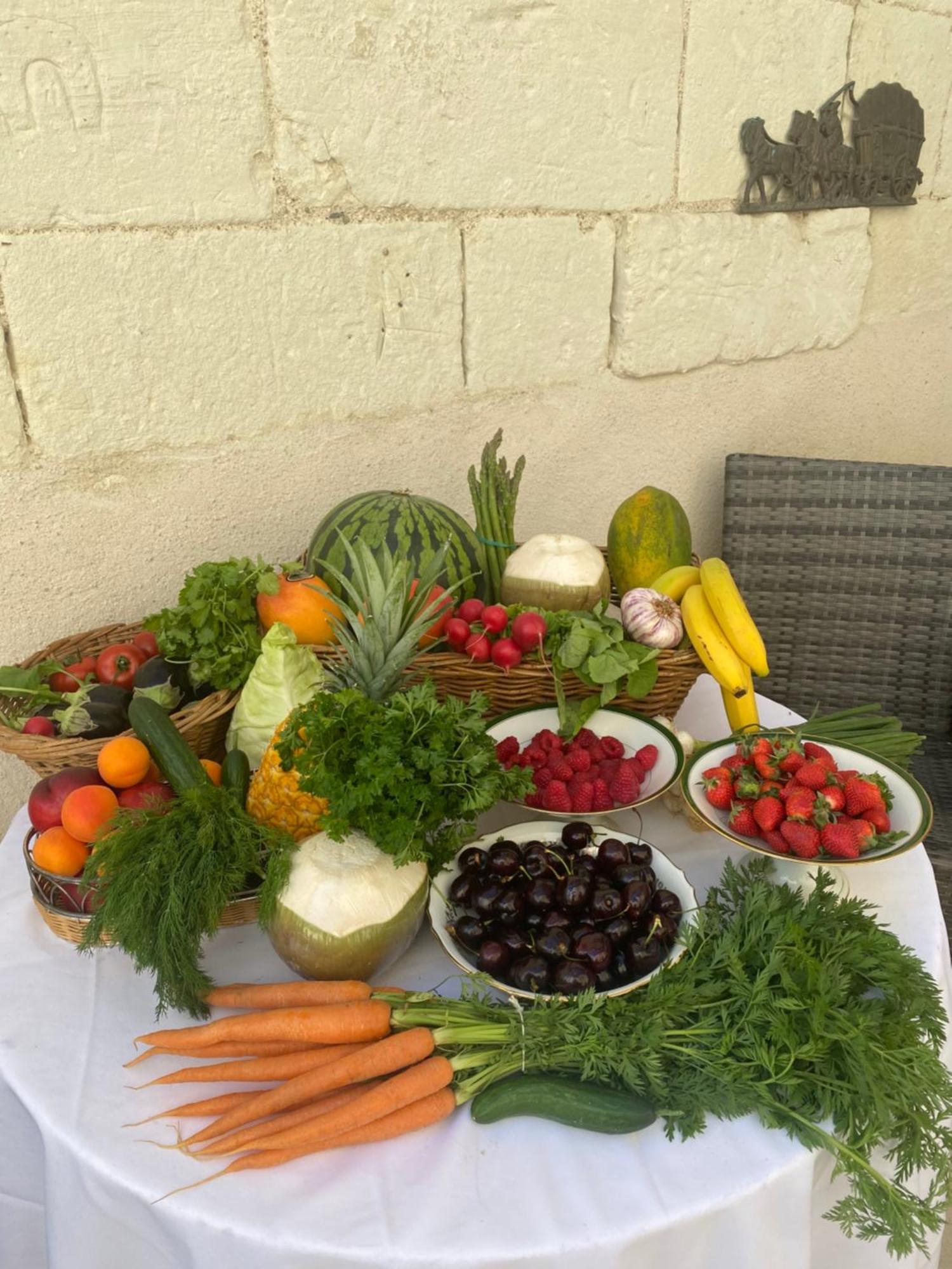 Le Manoir Des Roches Bed & Breakfast Bourré Dış mekan fotoğraf